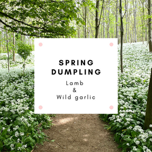 Lamb & wild garlic dumplings (20)